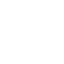 Social icon